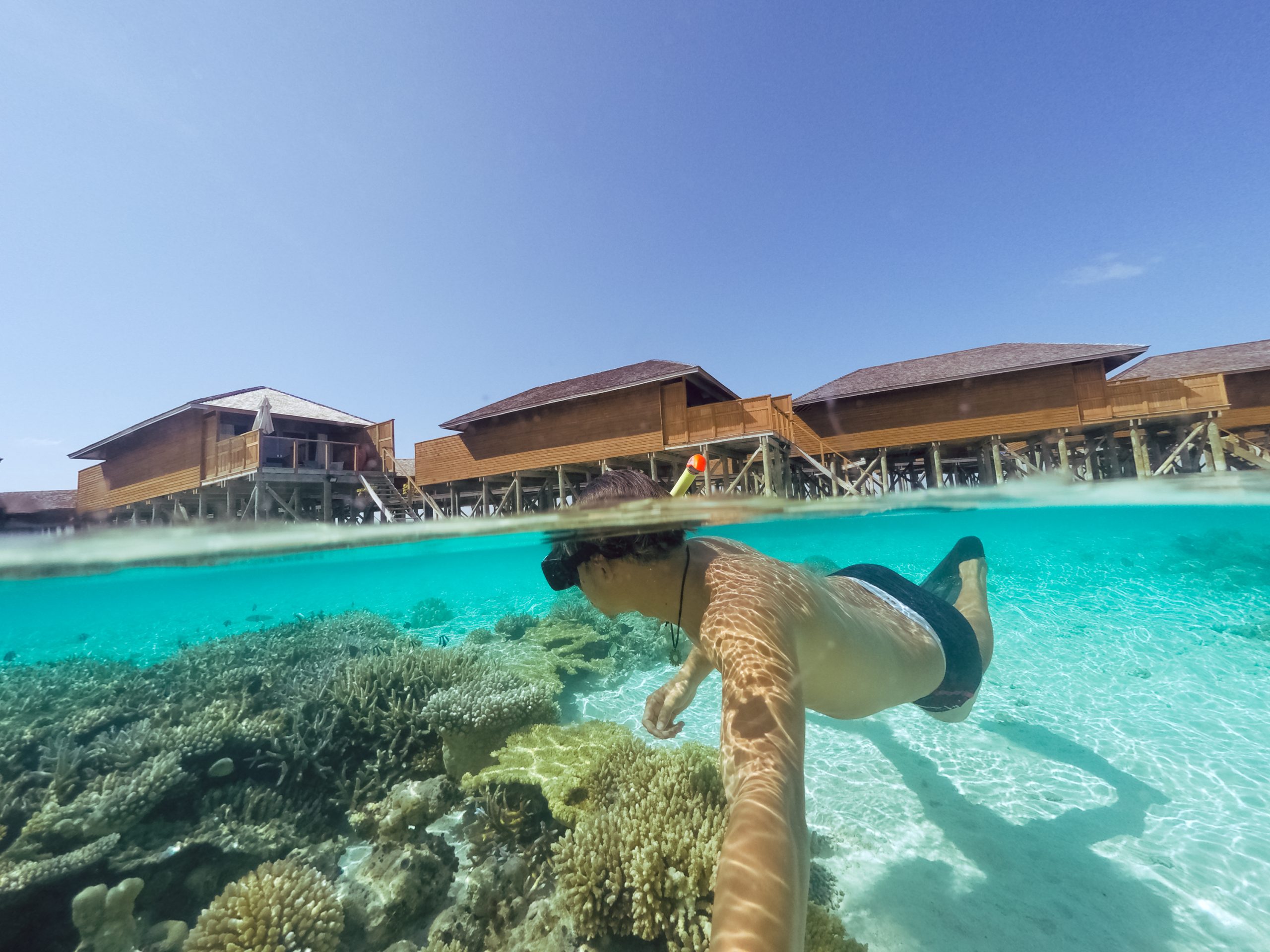 snorkeling dapat menyehatkan jantung