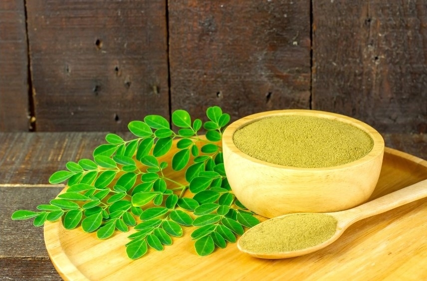 daun kelor disinyalir dapat menyembuhkan anemia
