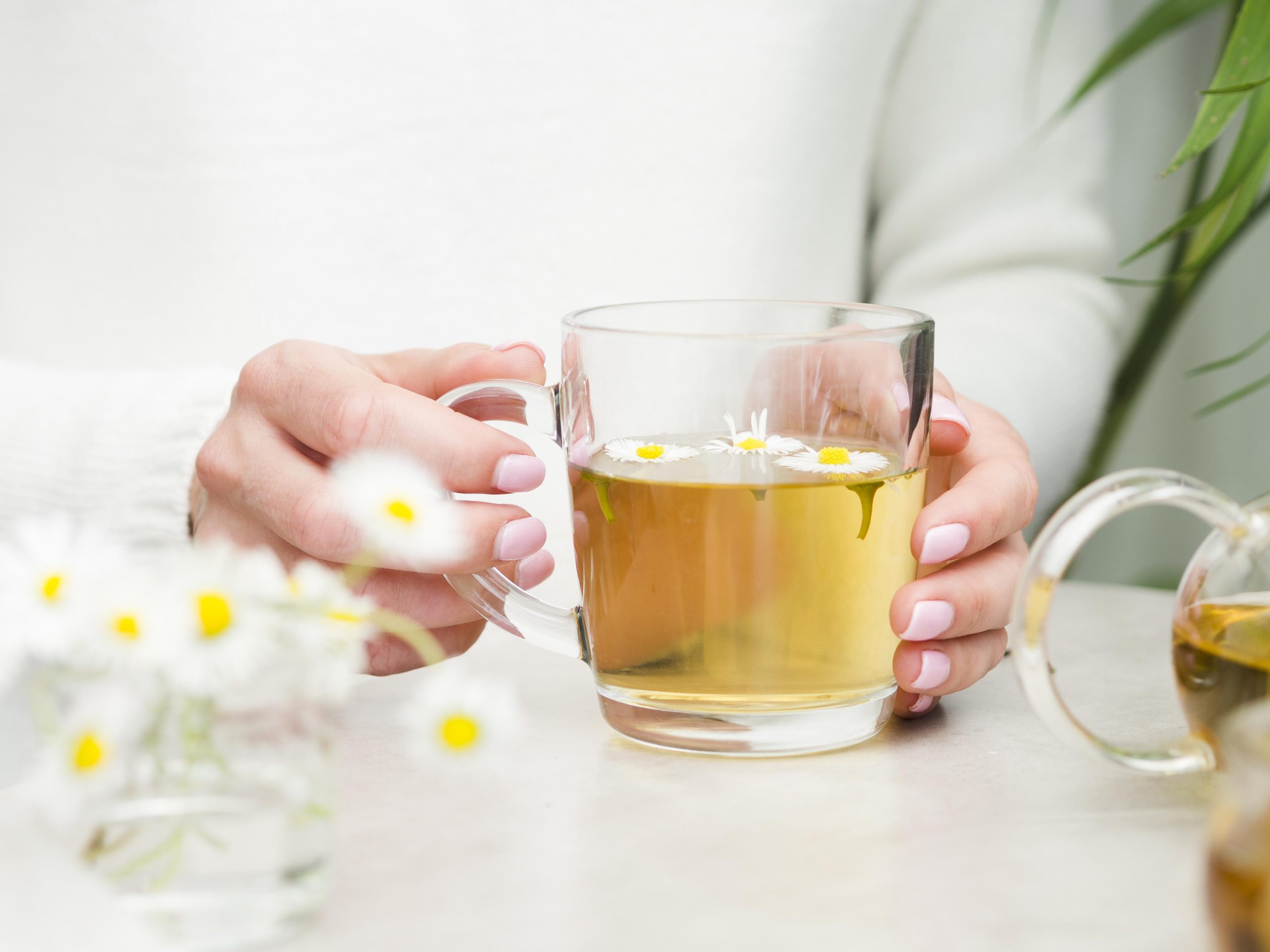 manfaat teh chamomile sangat baik untuk menjaga kesehatan tubuh