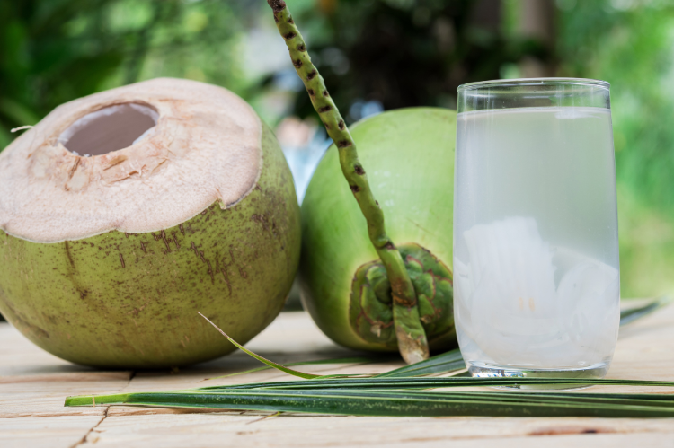 Air kelapa ampuh lawan dehidrasi