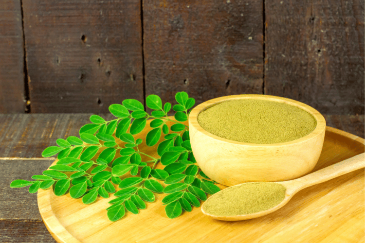 (Daun kelor, Sumber: Canva)