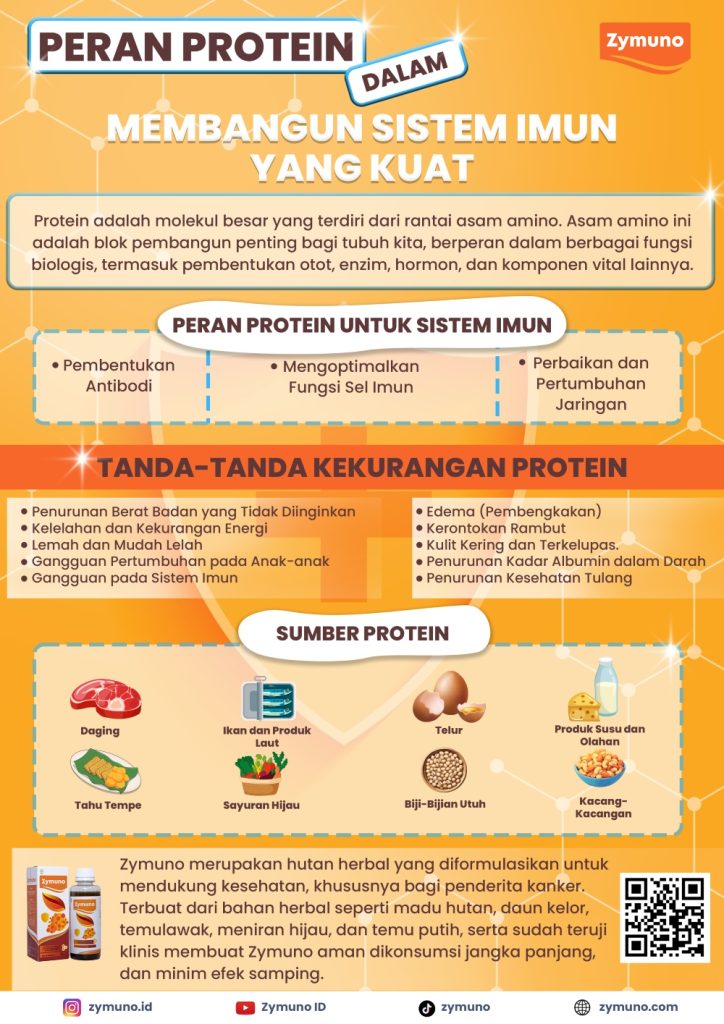 (Infografis peran protein, Sumber: Freepik)